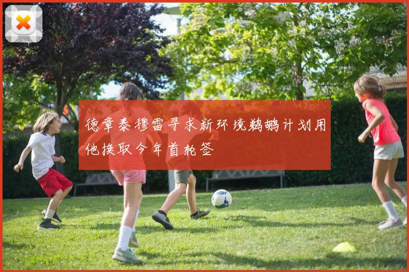 德章泰穆雷寻求新环境鹈鹕计划用他换取今年首轮签