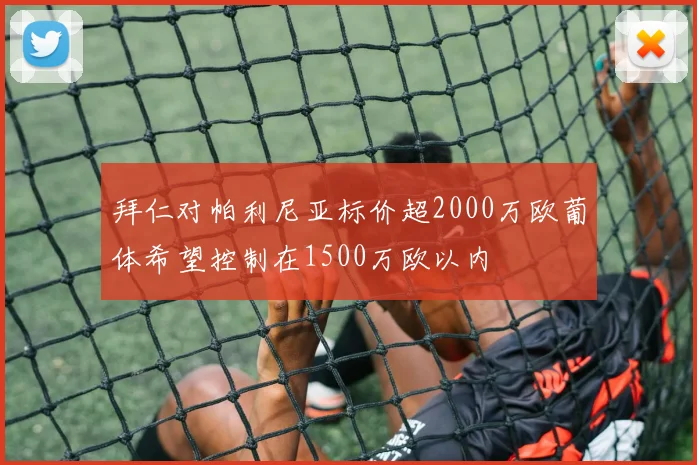 拜仁对帕利尼亚标价超2000万欧葡体希望控制在1500万欧以内